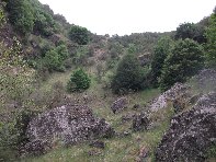 Salto_del_Cane - 20100602 040.jpg